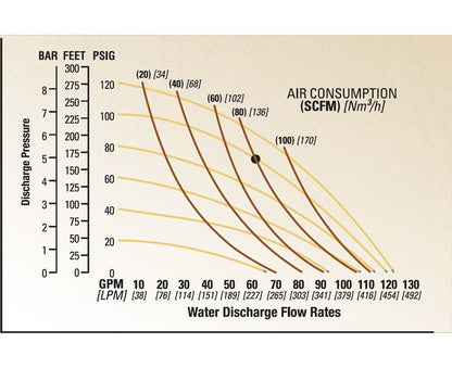 1 1/2" Flanged PWR-FLO™ AODD Pump, Polypropylene w/ Viton/FKM Diaphragm - Image 2
