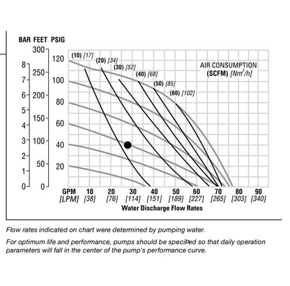 Stainless Steel Pwr-Floâ¢ AODD Pump with HytrelÂ® Diaphragm - Image 3