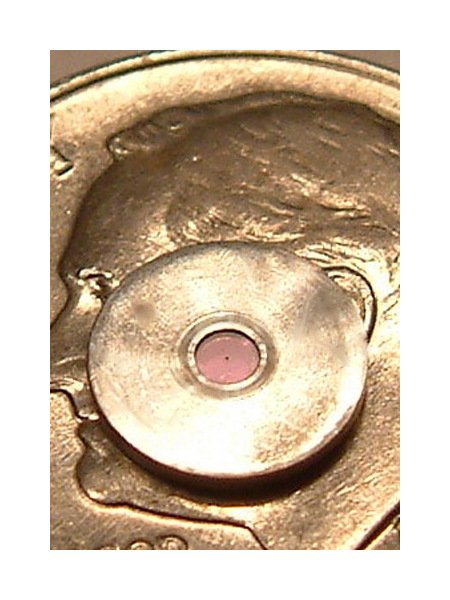 RB82087 Stainless Steel Gland/Gasket Connector Orifice - Image 1