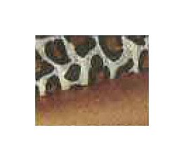 Duolok Union Elbow - Alloy 400, 1 1/2 in. Tube Fitting x 1 1/2 in. Tube Fitting - Image 1