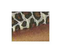 Duolok Union Elbow - Alloy 400, 1 1/2 in. Tube Fitting x 1 1/2 in. Tube Fitting