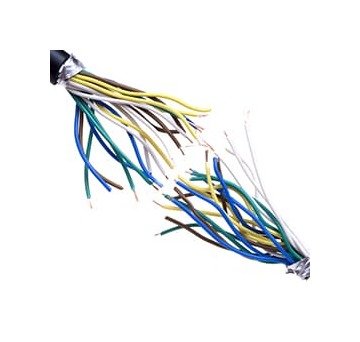 Power Limited Tray Cable - Foil Shielded, 300V, Gray PVC Jacket - Image 1