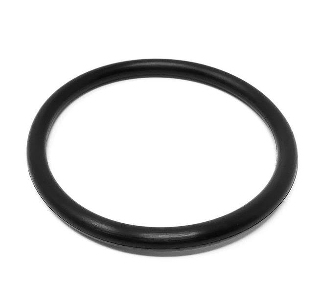 2.5" EPDM O-Ring Valve Seat for SudmoÂ® Pumps - Image 1