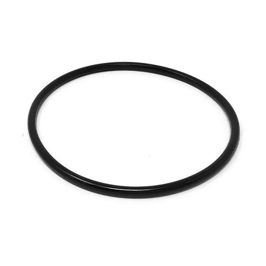 FKM Pump Seat O-Ring Replacement for APVÂ® 543P319675 - Image 1
