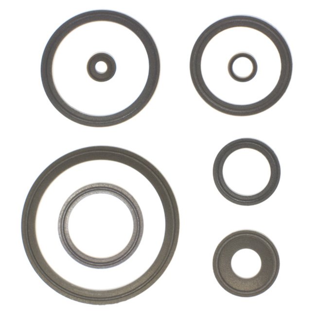 TEF-Steel Clamp Gasket 4 for Springer Pump Replacement Parts - Image 1