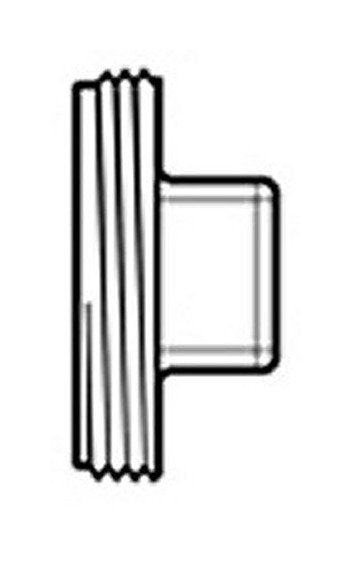 2 Inch PVC Male Pipe Thread Plug - Image 1