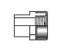 FlexPVC® 1-1/2 Inch PVC Female Adapter