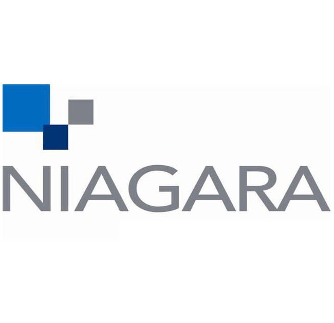 Niagara Shears - Model F for Precise Metal Cutting - Image 1
