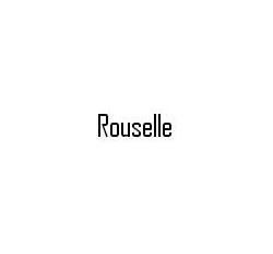 Rouselle Metal Shears - IKS Part # CE306S - Image 1