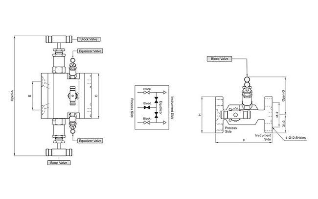 Dual Flange Instrumentation Manifold Valve - SM5V Series - Image 2