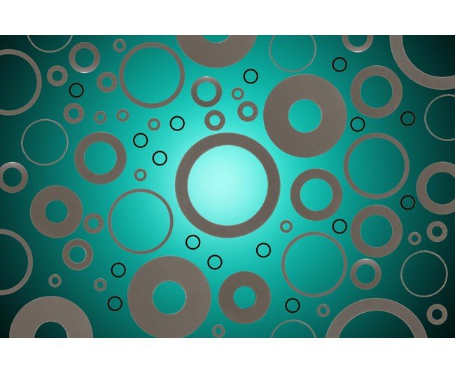 Nylon MDS Washer with Molybdenum Disulfide 1.091-10.000 in OD - Image 1