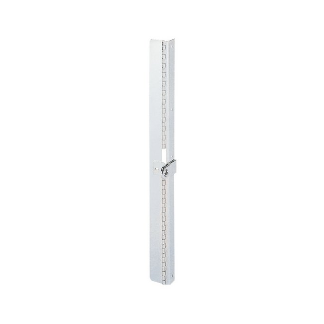Stainless Steel Plated Locking Hinge for TSPR, TIPR - Image 1