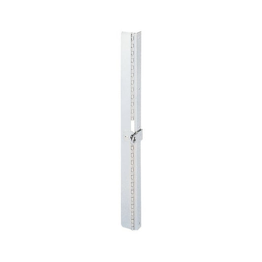 Stainless Steel Plated Locking Hinge for TSPR, TIPR - Image 1