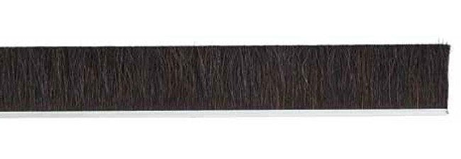 Tanis® 1"x36" Metal Back Strip Brush, #4 Galvanized Horse Hair - Image 1