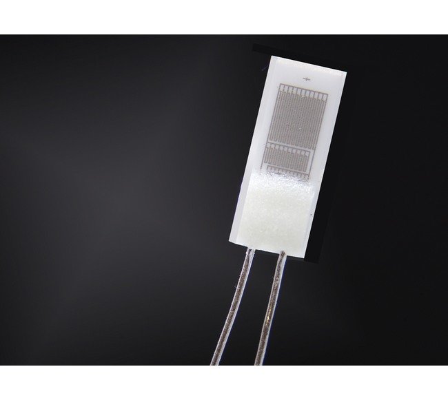 Platinum RTD Temperature Sensor P1K0.520.6W.Y.010 - Image 1