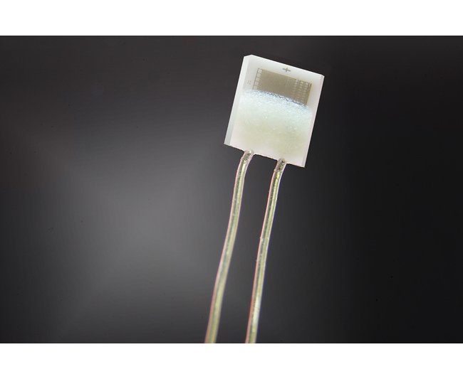 IST P0K1.161.6W.B.010 Platinum 100 Ohm RTD Temperature Sensor - Image 1