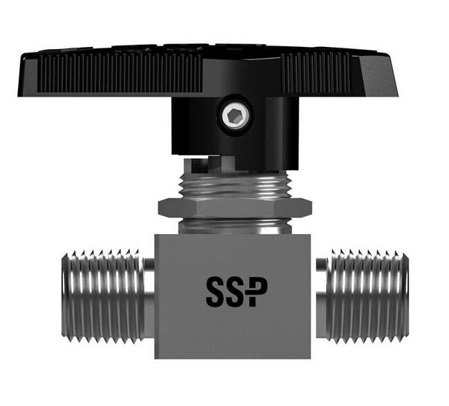 EB Series Encapsulated 2-way Ball Valves - 316 SS, 1/4-18 MNPT x 1/4-18 MNPT - Image 1