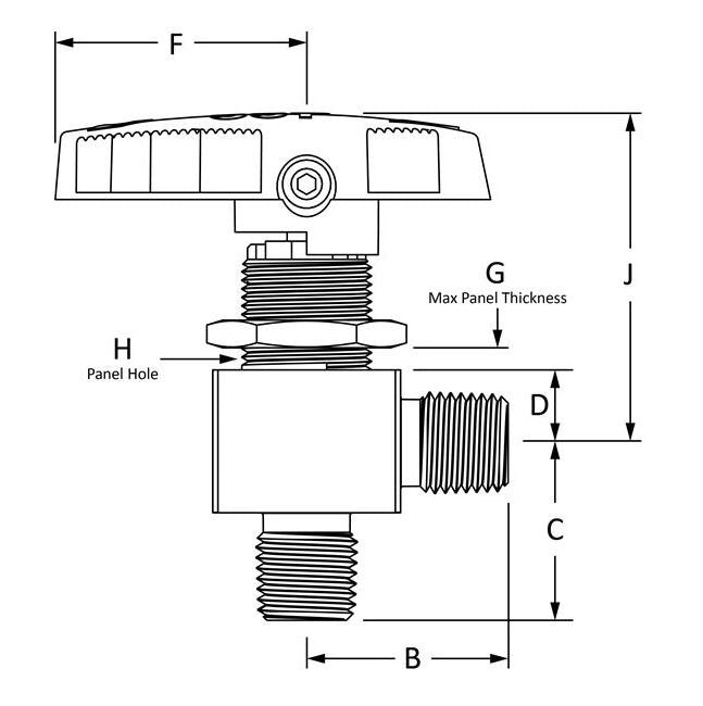 316 SS Encapsulated Angle Ball Valve - MNPT 1/4-18, EB Series - Image 2