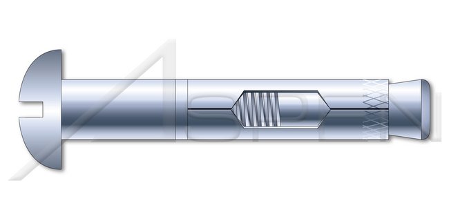 Steel Zinc Plated Round Head Sleeve Anchor - Image 1