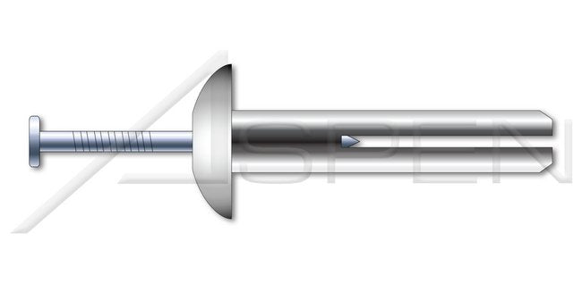 Mushroom Head Zinc Zamac Body/Stainless Steel Pin Hammer Drive Anchor - Image 1