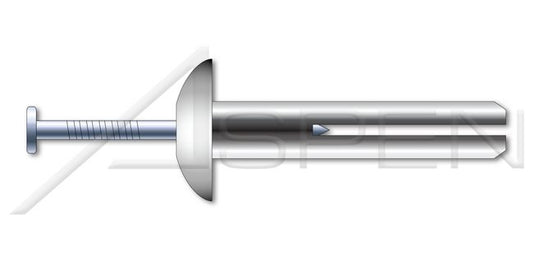 Mushroom Head Zinc Zamac Body/Stainless Steel Pin Hammer Drive Anchor - Image 1