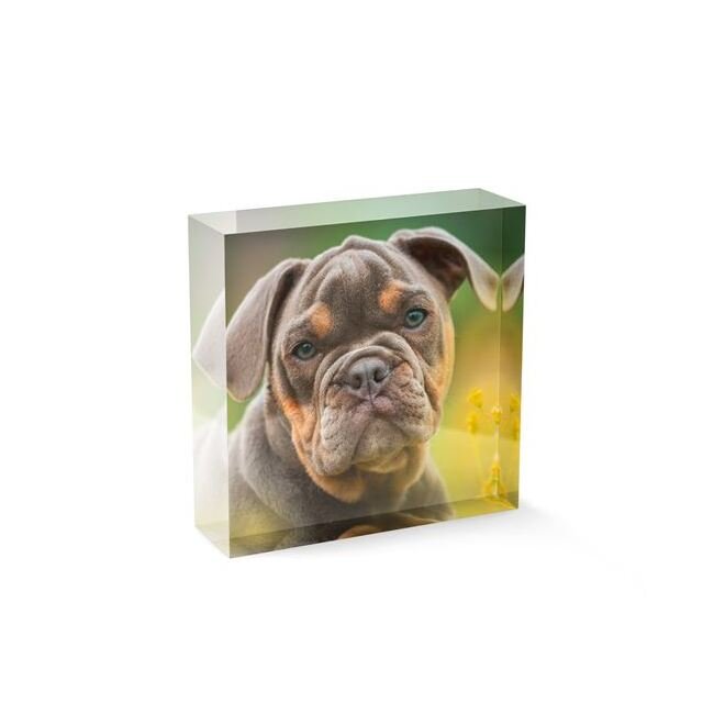 Premium 4x4 Art Print Acrylic Photo Block - Image 1