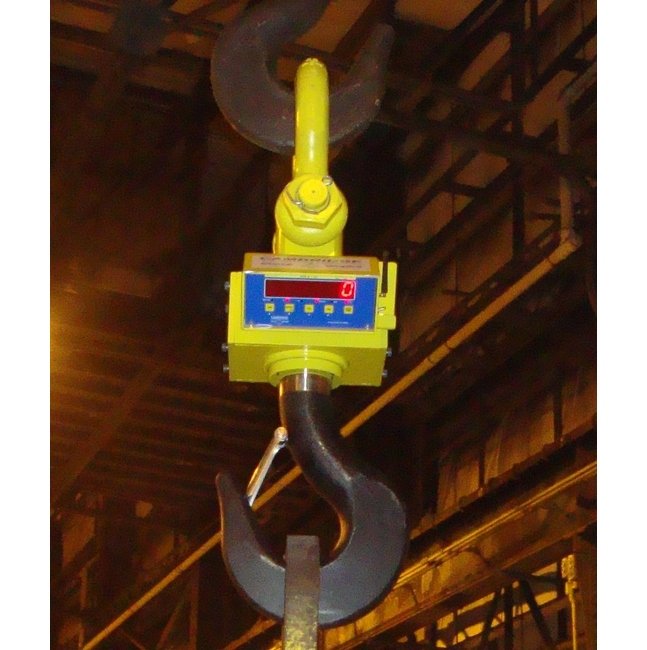 ASCS-151AT-RFL-30K All Steel Crane Scale - Image 2