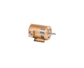 Baldor 2 HP Premium Efficient Motor, TEFC Enclosure, NEMA Standards - Image 1