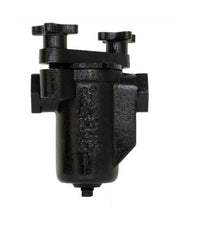 Sure Flow BTC125 2-Inch NPT Cast Iron Simplex Basket Strainer