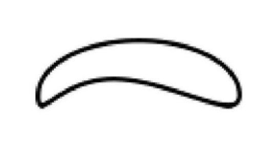 Diamond Needle Corp. 88-Inch Round Rubber Belt with F/Porter - Image 1