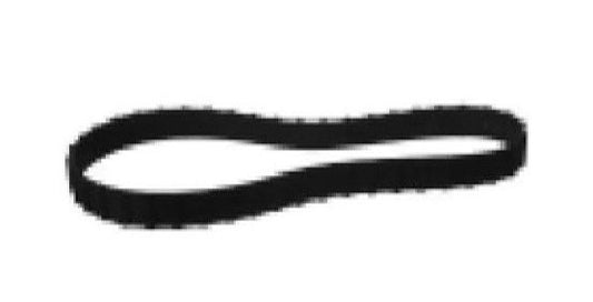 Diamond Needle Corp. EW494 Timing Belt - Image 1