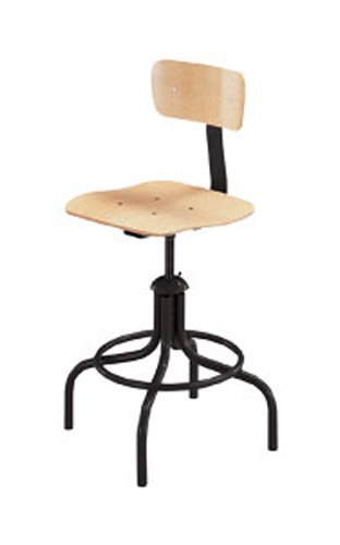 BEVCO 19 Pound (lb) Weight Chair - Image 1