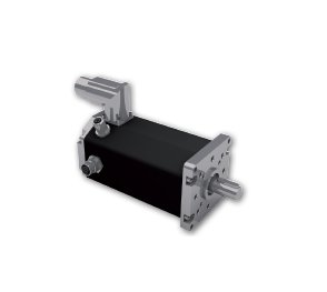 Dunkermotoren BG Series DC Motor with Integrated Control - Image 1