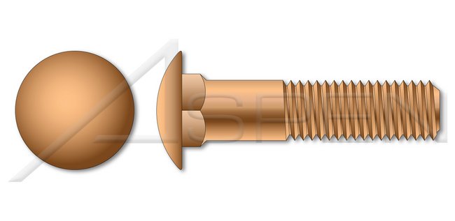 Round Head Square Neck Silicon Bronze Carriage Bolt - Image 1