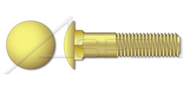 Round Head Square Neck Brass Carriage Bolt - Image 1