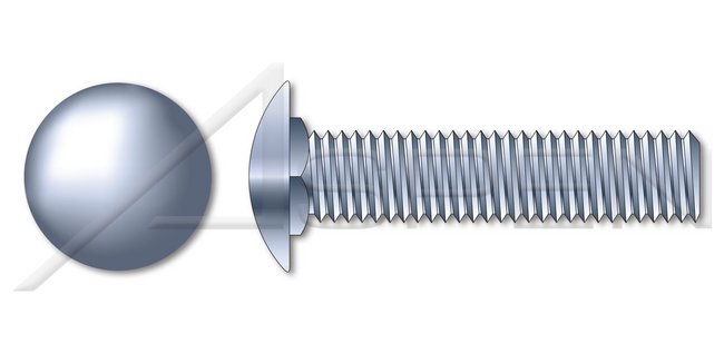 A307 Steel Round Head Short Square Neck Full Thread Zinc Carriage Bolt - Image 1