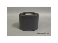 Curtis OEM Filter Replacement FP 10-2
