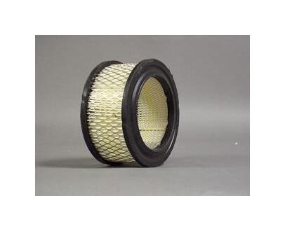 Curtis OEM Replacement Filter VA1118 - Image 1