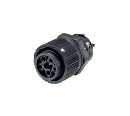 Wieland RST16I4 Female Device Connectors, 4 Poles, Light Gray - Image 1