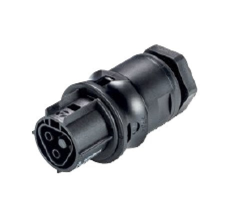 Wieland RST20I2 Female Device Connector - M20 Thread, Light Gray, 2 Poles, 20A - Image 1