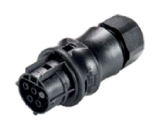 Wieland 5-Pole Light Gray Female Connector - Image 1