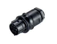 Wieland RST20I4 Female Device Connector, Light Gray, Straight Angle Plug