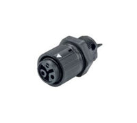 Wieland RST16I2 Female Device Connectors, 2 Poles, Light Gray