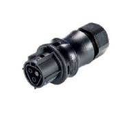 Wieland 2 Poles Signal Brown Female Connector