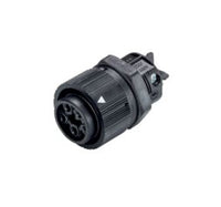 Wieland RST16I5 Female Device Connectors, 5 Poles, Light Gray