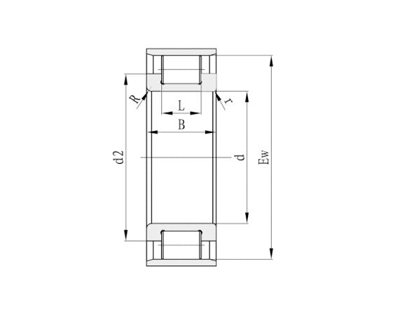 RN Full Complement Cylindrical Roller Bearings without Outer Ring - Image 2