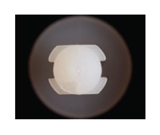 Nylon X-Mas Tree Clip Fastener - 0.250" Hole, Natural, P-Fin Type - Image 1