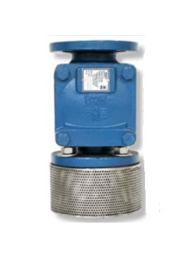 Sure Flow 10 Inch Ductile Iron Foot Valve with Flanged Connections - Image 1