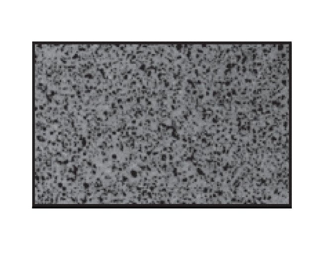 Isotropic Ultrafine Graphite EDM-3 - Image 1
