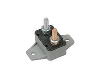 Plastic 20 Amp Circuit Breaker